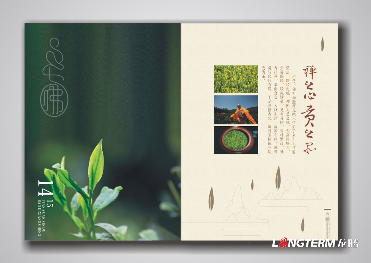 七佛贡茶品牌形象宣传画册设计|青川县茶叶品牌策划宣传册设计公司|四川成都绿茶贡茶茶叶品牌宣传画册设计